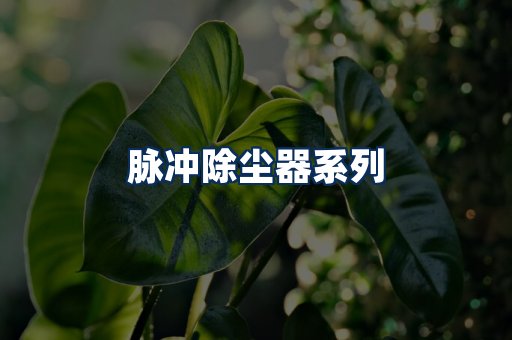 脉冲除尘器展示