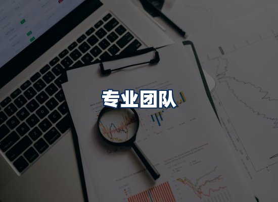 专业团队